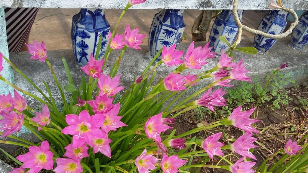 Center Homestay هوي ان المظهر الخارجي الصورة